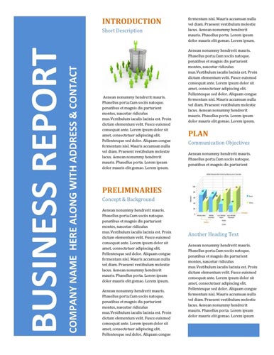 Business reports